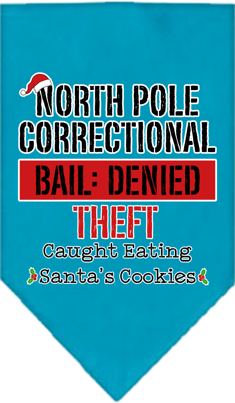 North Pole Correctional Screen Print Bandana Turquoise Size Large